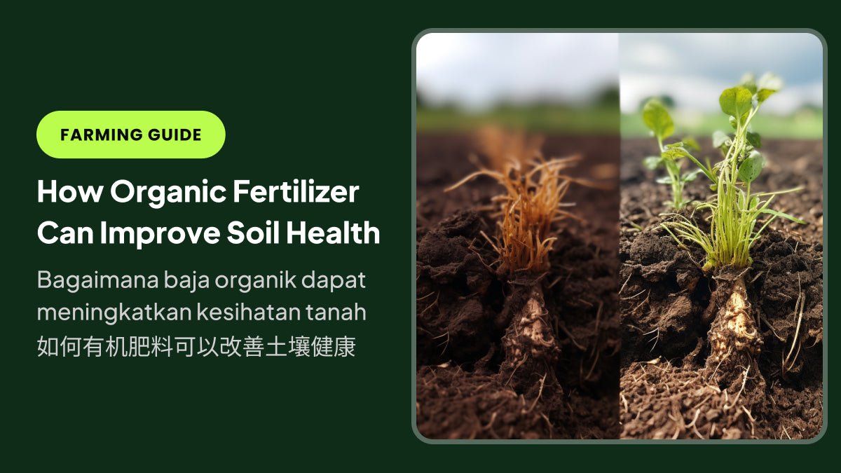 How Organic Fertilizer Can Improve Soil Health - Farm Doktor