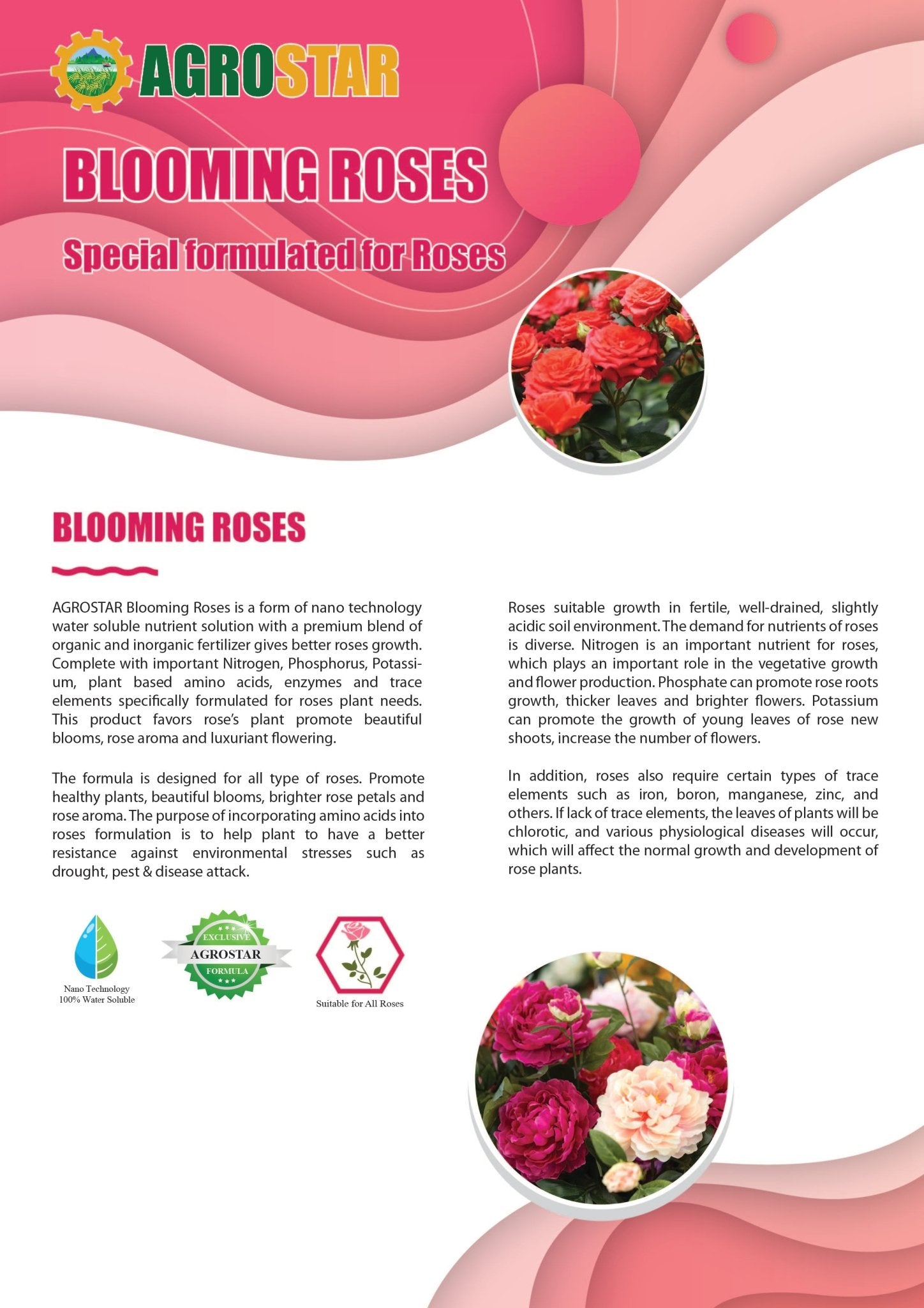 Agrostar Blooming Roses - Farm Doktor