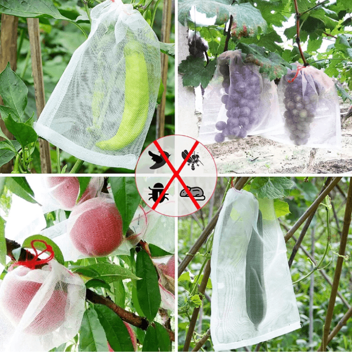 Anti Insect Fruit Bag - Mesh Fabric (10 pieces) - Farm Doktor