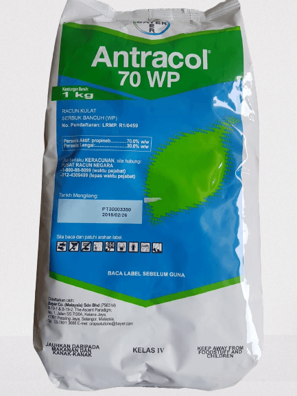 Bayer Antracol 70WP Fungicide - 1kg - Doktor Ladang