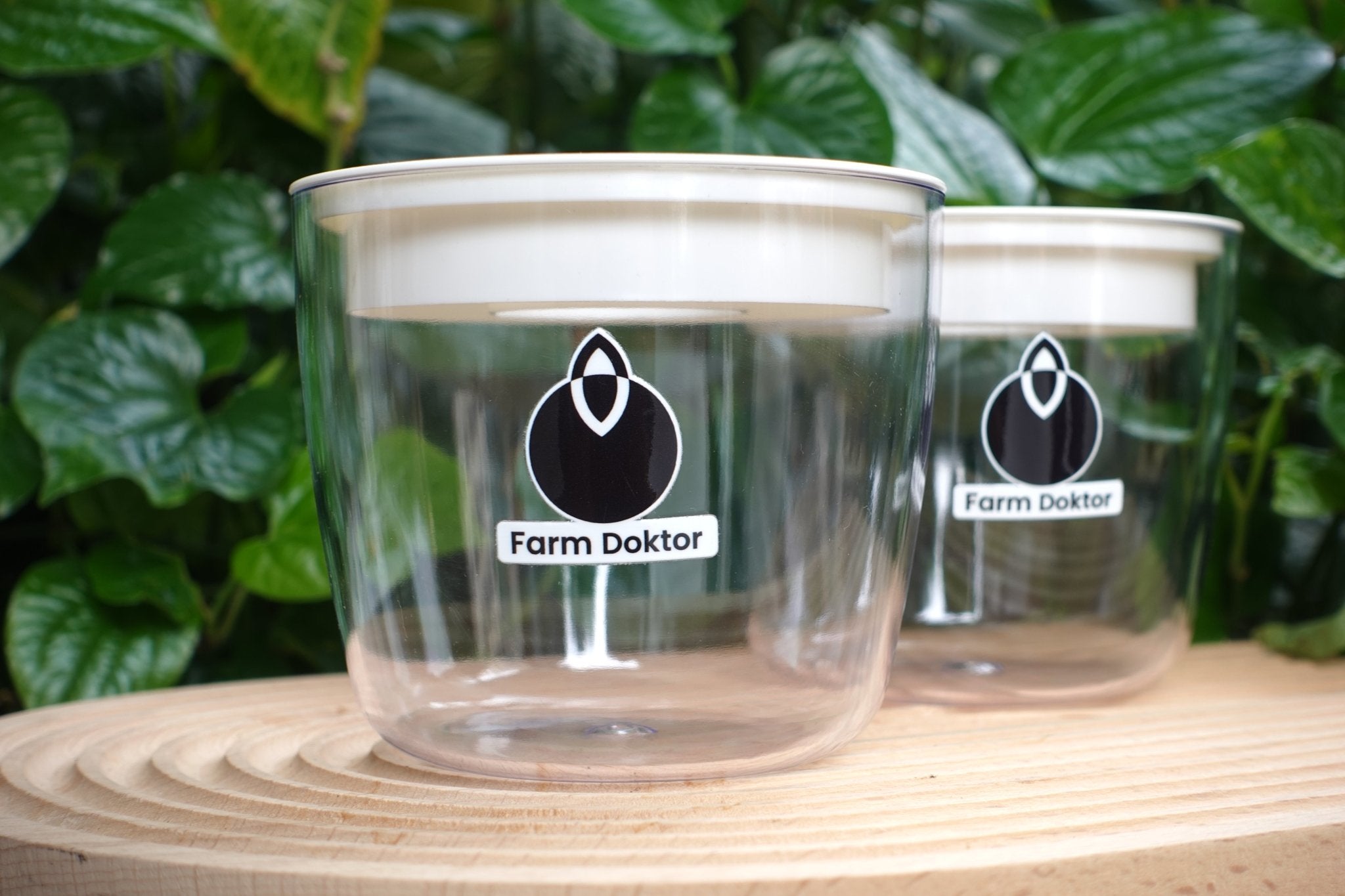 Desktop Hydroponic Flower Pots Pack (2 Flower Pots) - Farm Doktor