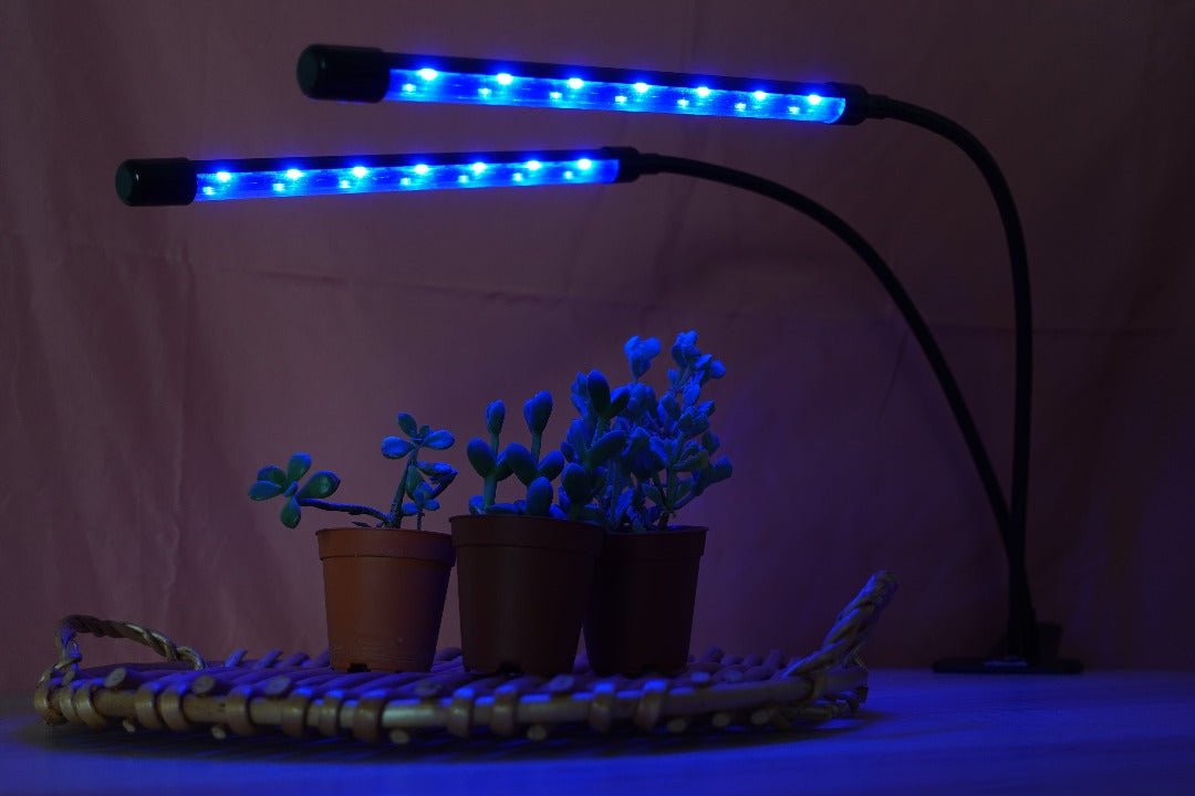 Lampu Pertumbuhan Tumbuhan LED (USB Berkuasa) - Sesuai untuk Succulents - Doktor Ladang