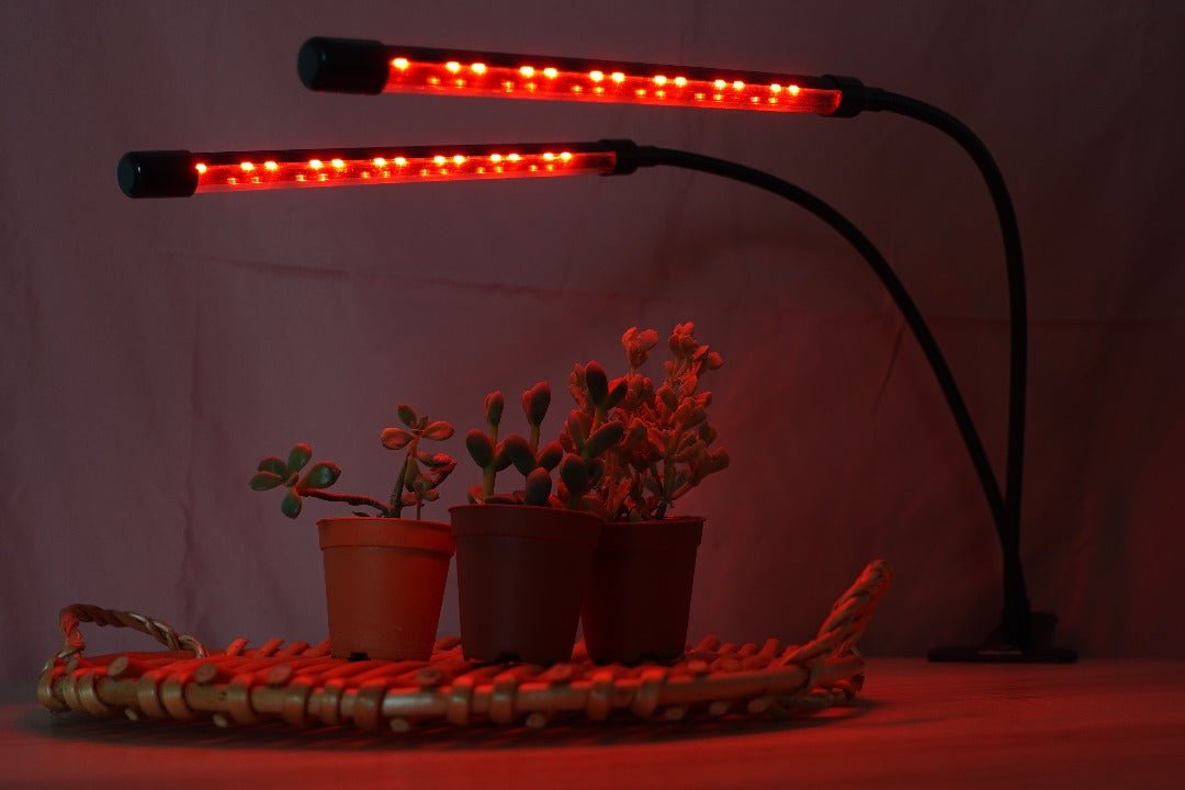 LED Plant Growth Light (USB Powered) - Suitable for Succulents - Farm Doktor