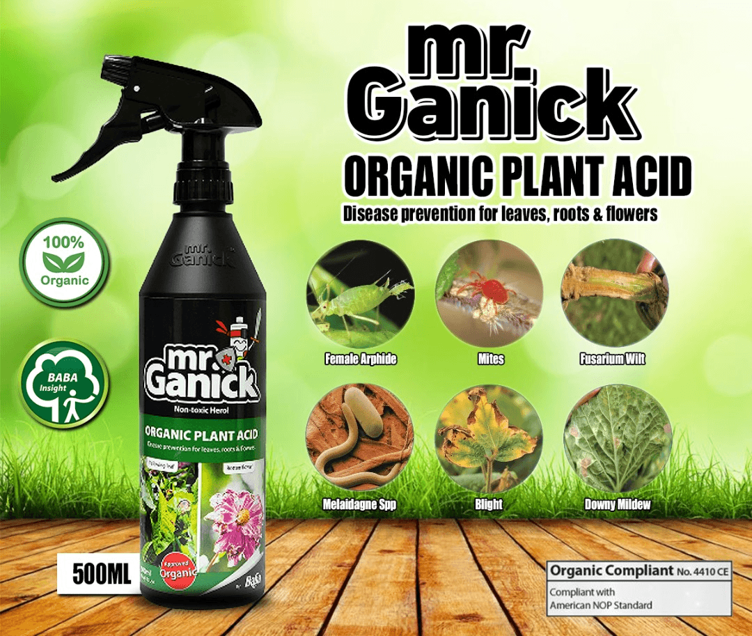 MR GANICK Fungicide Asid Tumbuhan Organik - 500ml - Doktor Ladang