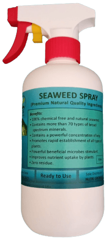 Natural Seaweed Spray - 500ml - Farm Doktor