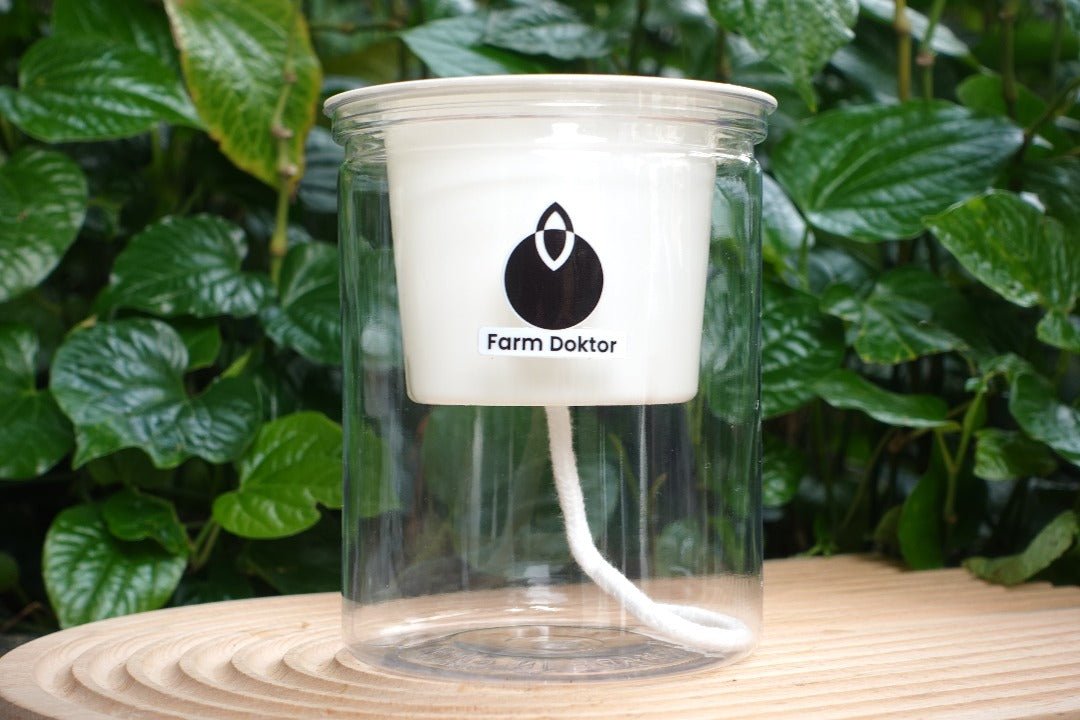 Self Watering Flower Pot (2 Flower Pots) - Farm Doktor